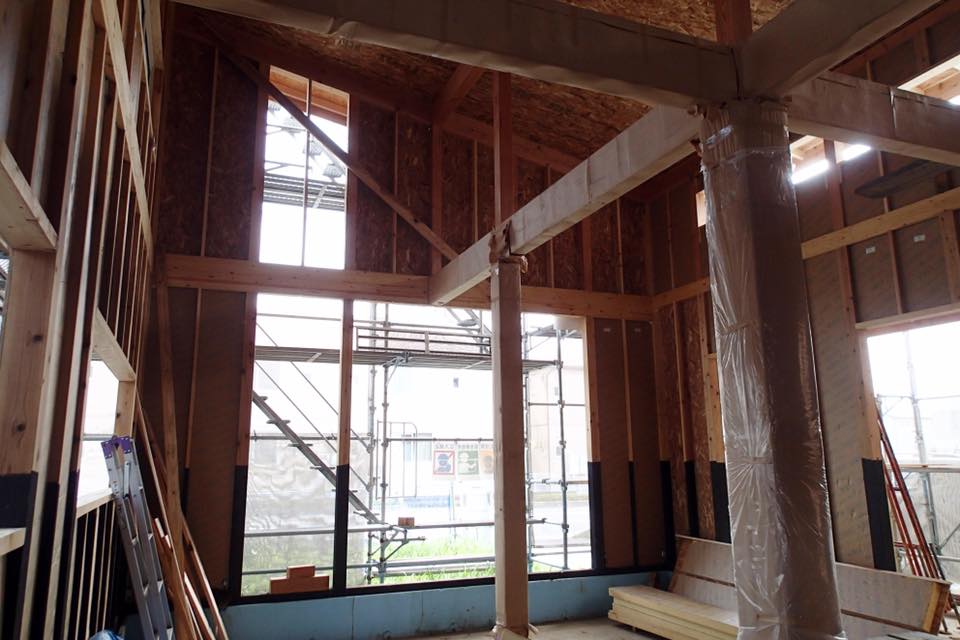 14063739_527858917405444_537106108115077144_n